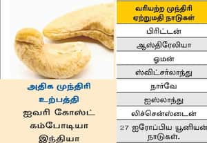  'இந்தியன் கேஷூ' பிராண்டு முந்திரி ஏற்றுமதிக்கு ஊக்கம்