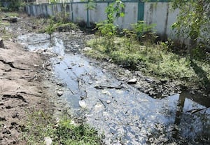  சாலையோரம் தேங்கிய கழிவுநீர் கொசு உற்பத்தியால் தொற்று அபாயம்