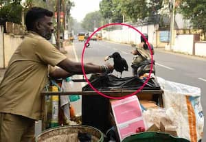 முருகேசனும், ஆகாய தோட்டியும்;  எளிய பறவையுடன் ஏழையின் பந்தம்