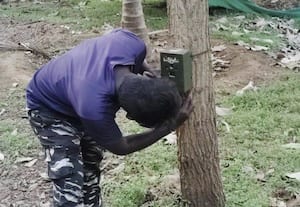  மர்மவிலங்கு தாக்கி ஆடுகள் பலி கேமரா பொருத்தி கண்காணிப்பு