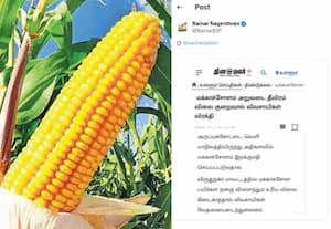 விவசாயிகளைக் கண்ணீரில் மிதக்கவிடும் திமுக; தினமலர் இணையதளம் செய்தியை மேற்கோள் காட்டிய நயினார்!