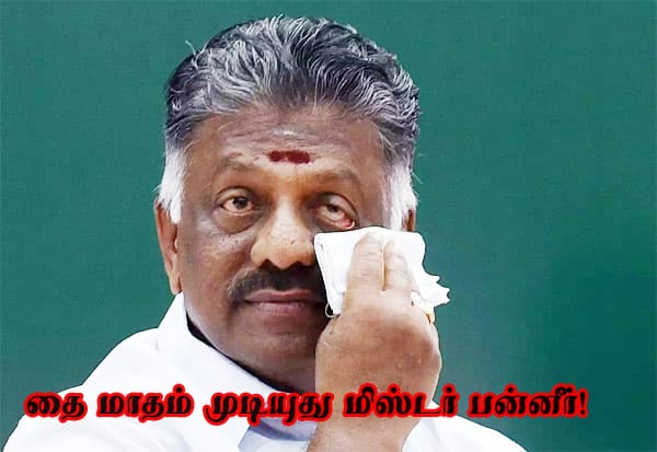 இன்று முடிகிறது தை மாதம்; முடிவை அறிவிப்பாரா பன்னீர்?