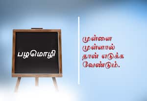  பழமொழி