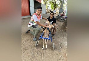  'அந்த மனசுதான் சார் கடவுள்!': பள்ளி மாணவர்களின் 'சிக்கு'