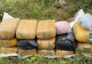  இலங்கையில் ரூ.5 லட்சம் கஞ்சா பறிமுதல் படகில் கடத்திய நபர்களுக்கு வலை