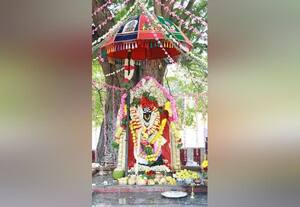  மகா சிவராத்திரி விழா வழிபாடு கோலாகலம்