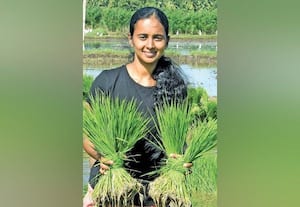  காய்கறிகள் பழப்பயிர்கள் சாகுபடி செய்யணும்!