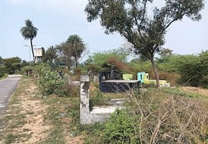  மயானத்திற்கு சுற்றுச்சுவர் அமைக்க வேண்டும்