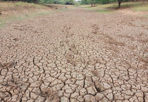  வேகமாக வற்றும் நீர் நிலைகள்