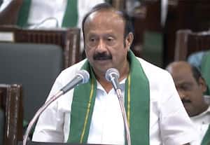 வேளாண் துறைக்கான இடைக்கால பட்ஜெட் தாக்கல்; மக்காச்சோள சாகுபடி உயர்வு