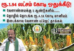 வேளாண் துறைக்கான இடைக்கால பட்ஜெட் தாக்கல்; மக்காச்சோள சாகுபடி உயர்வு