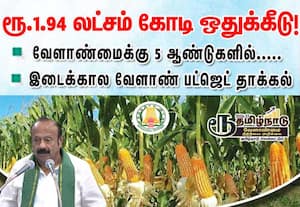 வேளாண் துறைக்கான இடைக்கால பட்ஜெட் தாக்கல்; மக்காச்சோள சாகுபடி உயர்வு