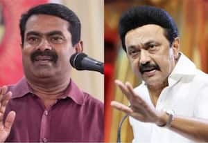 முதல்வர் ஸ்டாலின் இல்லையென்றால் 'இண்டி' கூட்டணியே இல்லை; சீமான்