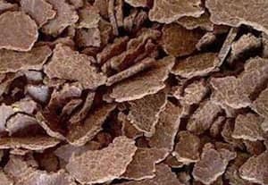  புண்ணாக்கு ஏற்றுமதி 42 சதவிகிதம்  குறைந்தது