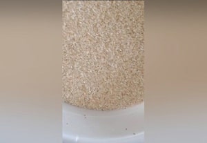  ரேஷன் அரிசியில் வண்டு பொதுமக்கள் வாக்குவாதம்