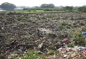  கிருஷ்ணம்பதி குளத்தில் மீன்கள் நுண்ணுயிர்கள் அழியும் அபாயம்