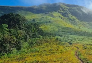  இயற்கையை ரசிக்க கங்காடிகல்லு 'வியூ பாயின்ட்'