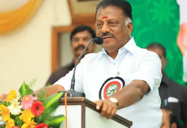 திமுக மீண்டும் ஆட்சிக்கு வர வாய்ப்பு: ஓபிஎஸ் பேட்டி