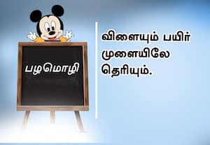  பழமொழி :  விளையும் பயிர் முளையிலே தெரியும்.