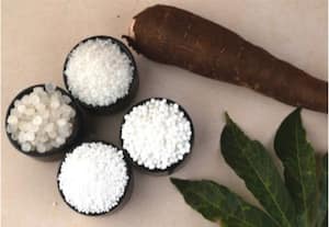  சேலம் ஜவ்வரிசி நேரடியாக கனடாவுக்கு ஏற்றுமதி