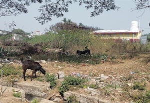  சுகாதார வளாகத்தை சீரமைத்தும் பயனில்லை