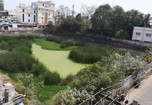  ரங்கசாமி குளத்தில் கலக்கும் கழிவுநீர் வேடிக்கை பார்க்கும் மாநகராட்சி நிர்வாகம்