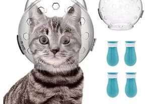  சந்தையில் புதுசு