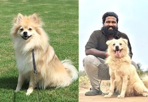  குரலிலே நடுங்க வைக்கும் குட்டி 'டான்'