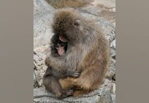  அன்பின் அரவணைப்பில் ' பஞ்ச் '