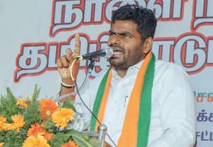 பெயருக்கு மட்டுமே விஐபி தொகுதியான சேப்பாக்கம்: உதயநிதி மீது அண்ணாமலை சாடல்