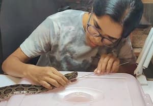  பாம்புகளின் பாதுகாவலர் லிசா