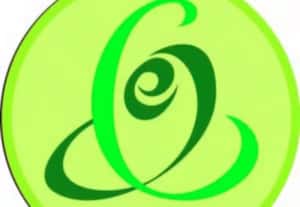  இ - சேவை மைய ஊழியர்கள் தர்ணா; விரிவுரையாளர்கள் பணி புறக்கணிப்பு