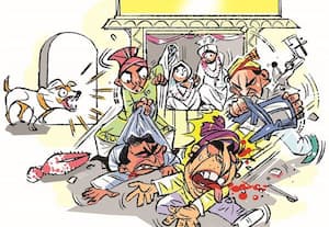  நாய் குரைத்ததால் நின்று போன திருமணம்; உ.பி.,யில் நிகழ்ந்த வினோத சம்பவம்