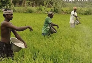    உயர்த்தப்பட்ட பயிர் உற்பத்தி மானியம்...  வழங்கப்படுமா? தேர்தல் அறிவிப்புக்கு முன் எதிர்பார்ப்பு