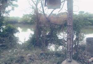  டிரான்ஸ்பார்மர் மின் கம்பங்கள் முறிந்து விழும் அபாயம்