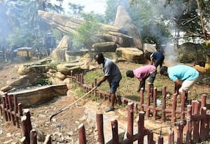  துாய்மை பணி ஒகே... விளையாட்டுகள் எங்கே? சிங்கம் பார்க்கிற்கு போதுமான நிதி ஒதுக்க வேண்டும்