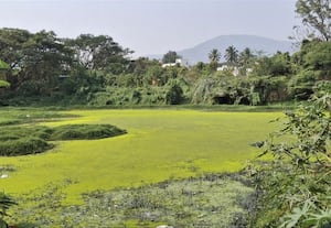  'கறை' படியாத ரம்மியம் அந்நாள் கரை தொடவே அஞ்சும் இந்நாள்