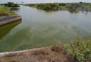 கழிவு நீர் கலப்பு, புதர் மண்டிய மதகுகள், துார்ந்து போன கால்வாய்:சாத்துார் நள்ளி பெரிய கண்மாய் விவசாயிகள் வேதனை