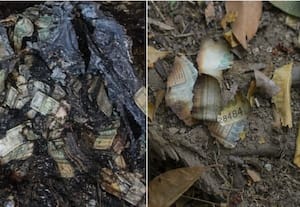  பண மூட்டை நீதிபதி விவகாரம்: விசாரணை குழு பதவி காலம் நீட்டிப்பு