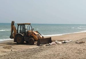 பல்மைரா கடற்கரையில் கழிவு மூட்டைகள் அகற்றம்