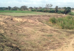  கூவம் ஆற்றை ஆக்கிரமித்து விவசாயம் நீர்வள துறை அதிகாரிகள் அலட்சியம்