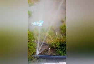  நகரகுடி அருகே 3 மாதங்களாக குழாய் உடைந்து வீணாகும் நீர்