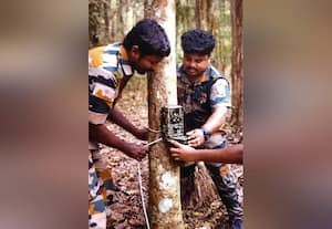  பெரியாறு புலிகள் காப்பகத்தில் 3ம் கட்ட புலிகள் கணக்கெடுக்கும் பணி துவக்கம்