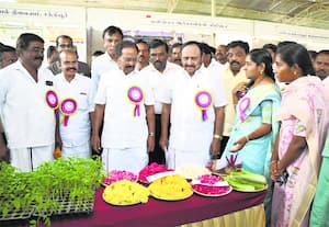 சிறுதானிய திருவிழாவில் 174 விவசாயிகளுக்கு உதவி