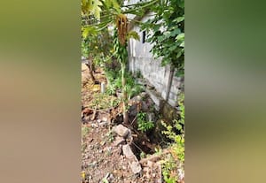  தீராத சாக்கடை பிரச்னை ஜெ.வி. கார்டன் தவிப்பு