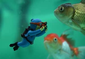  நீருலகில் புது அழகு