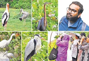  பறவையே எங்கு இருக்கிறாய்...