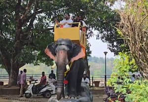  இயந்திர யானை சவாரி: அதிரப்பள்ளியில் அசத்தல்