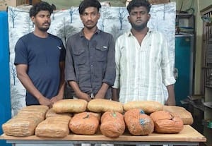  21 கிலோ கஞ்சா கடத்திய மூன்று வாலிபர்கள் சிக்கினர்