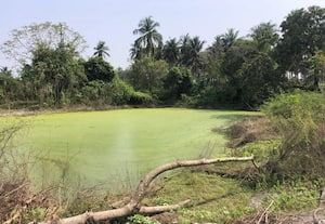    100 நாள் வேலை திட்டத்தில் 'தில்லாலங்கடிரூ.3.60 கோடி மோசடி! ' வேலை ஊரக வளர்ச்சி துறை அதிகாரிகள் 28 பேர் மீது வழக்கு